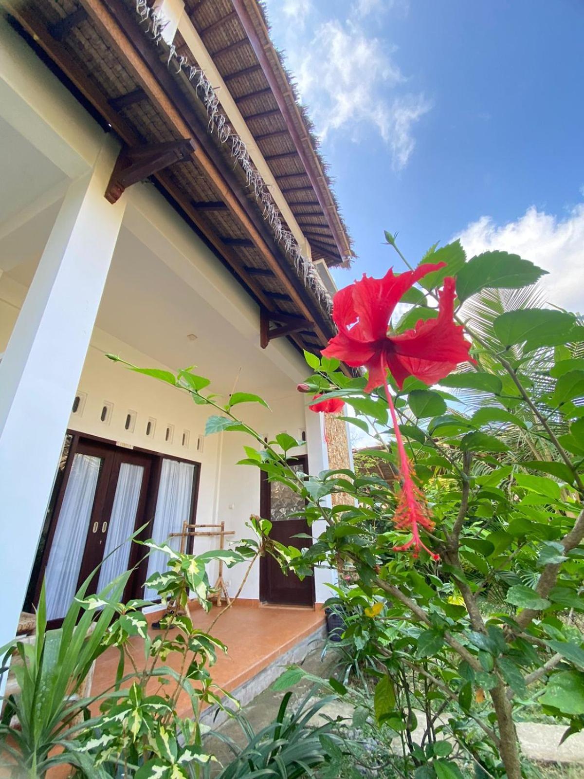 Kuta  Cewin'S Homestay الغرفة الصورة